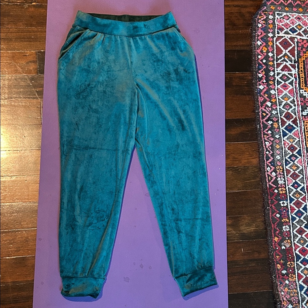 Magaschoni super soft velvet joggers.